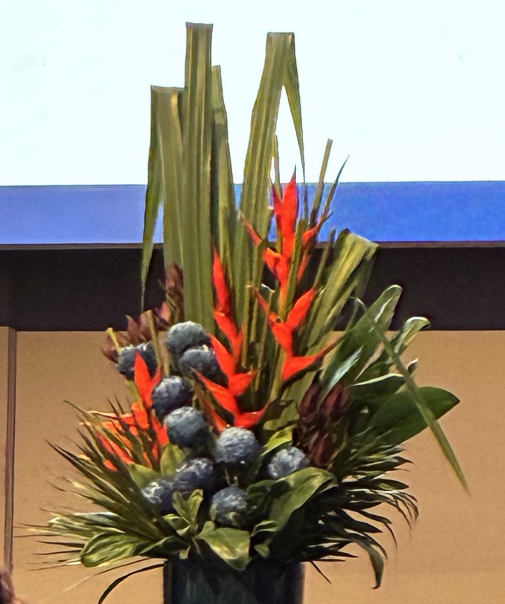 BronFredericks's tweet photo. Flowers around the #UniSTARS conference (Students Transitions Achievement Retention & Success) & hotel in Cairns don’t disappoint. Vibrant, structural & impressive. Beautiful! 🌺 #StudentSuccess https://t.co/giSaJNGrgv