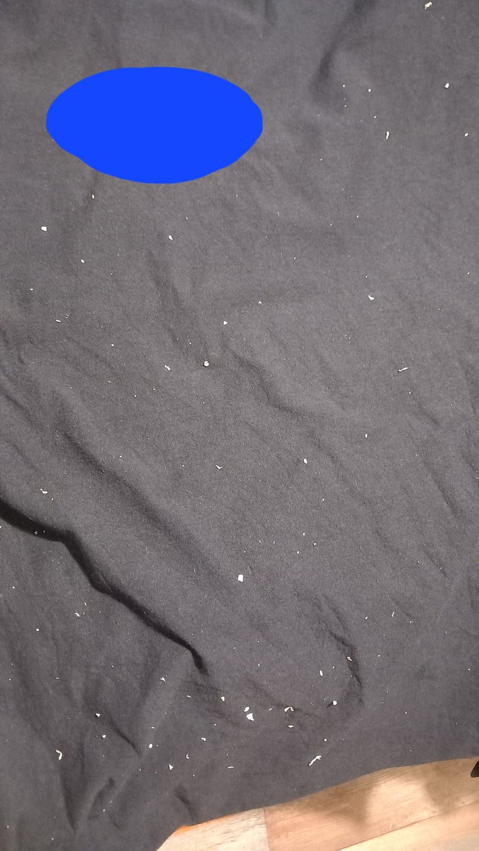 Note to self...double check jeans pockets for tissues before putting in the washing machine 🙄🤦🏼‍♀️