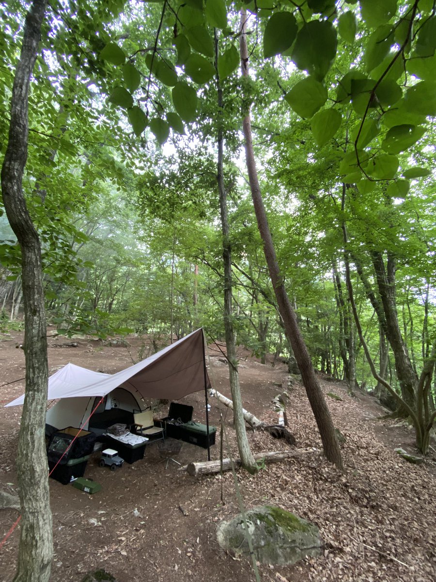 campbaseannaka's tweet photo. 管理人自身のキャンプで山梨のキャンプ場に行って来ました。この時期、標高の高い林間のサイトは快適で良いですね。
これだけはウチのキャンプ場ではどう頑張っても得られない環境ですね。 https://t.co/7R1f5z6DrL