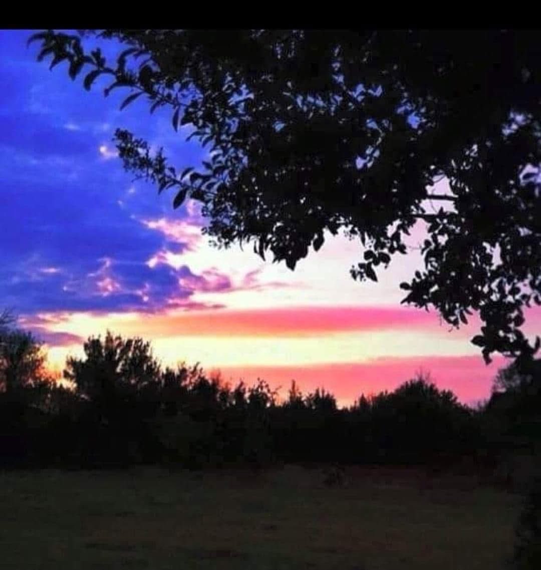MarineMama2674's tweet image. Memory 2023❤️🇺🇸
“The power of a moment that stops you in your tracks”
At the beginning of this week, I watched my beloved LSU Tigers bring home an epic win for their baseball program, winning the World Series. It was an amazing game and my husband and I were on the edge of our…
