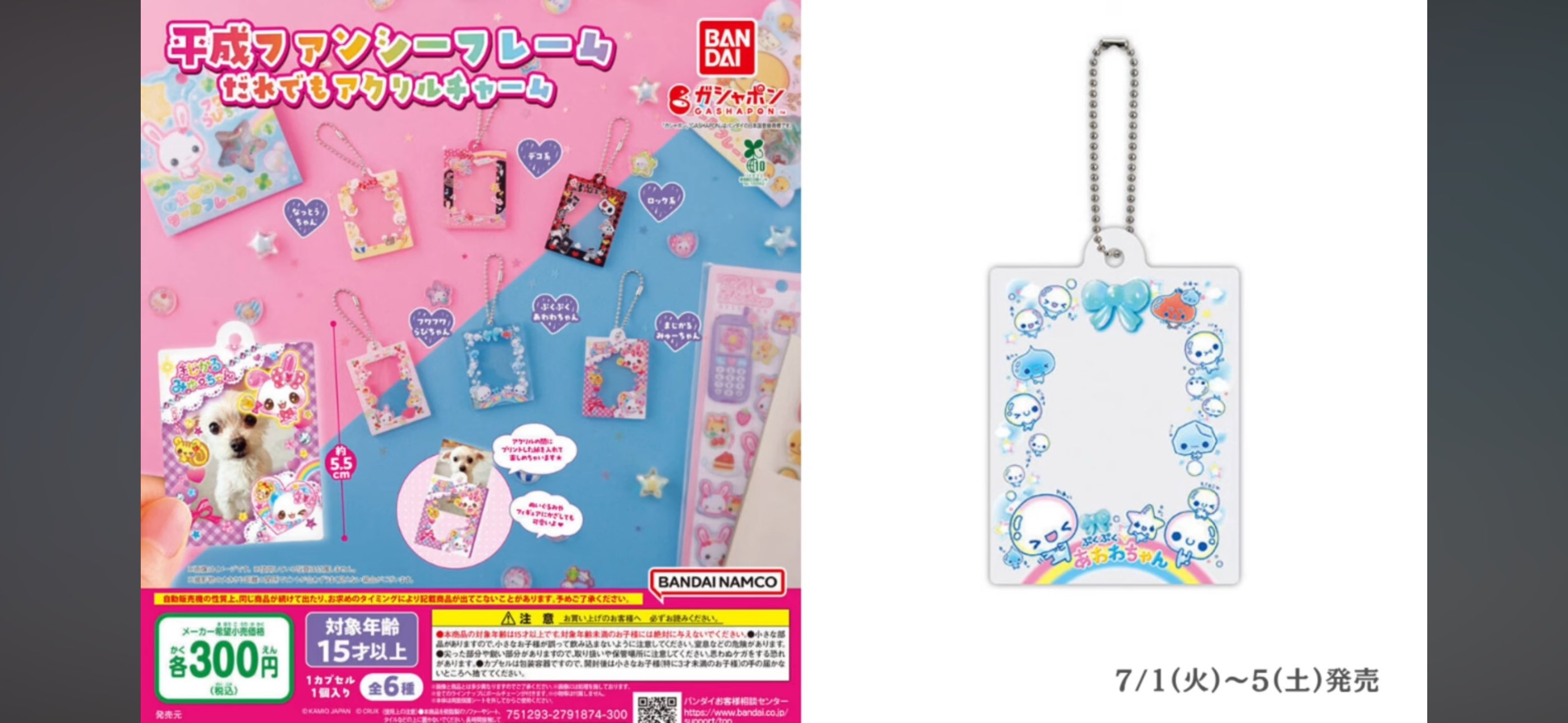 🐶ぼんたろう❕˻˳˯ₑᶫᵒᵛᵉ on X: 