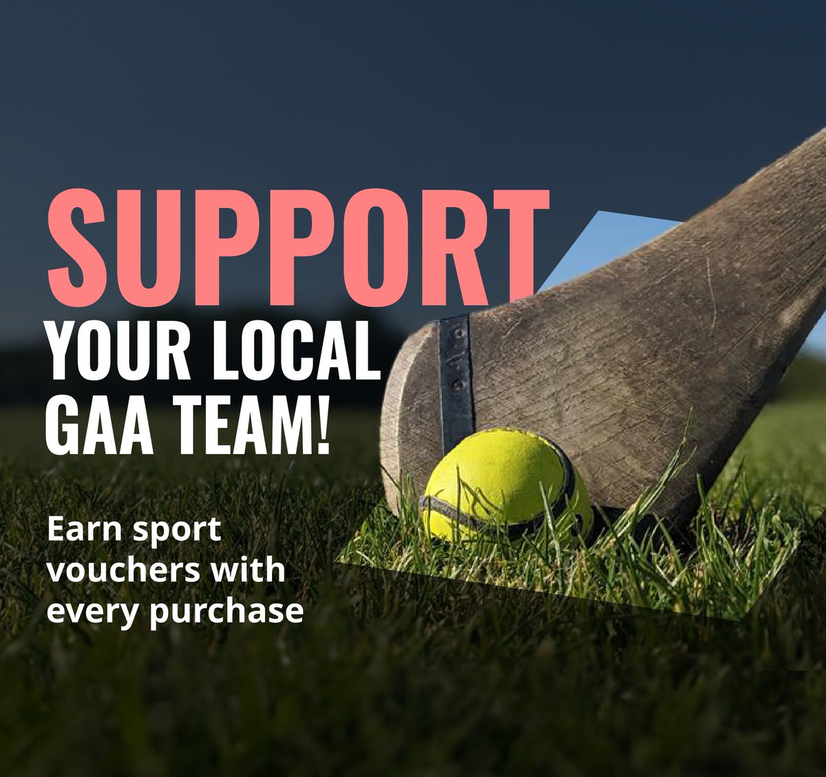 RS Ireland tweet media