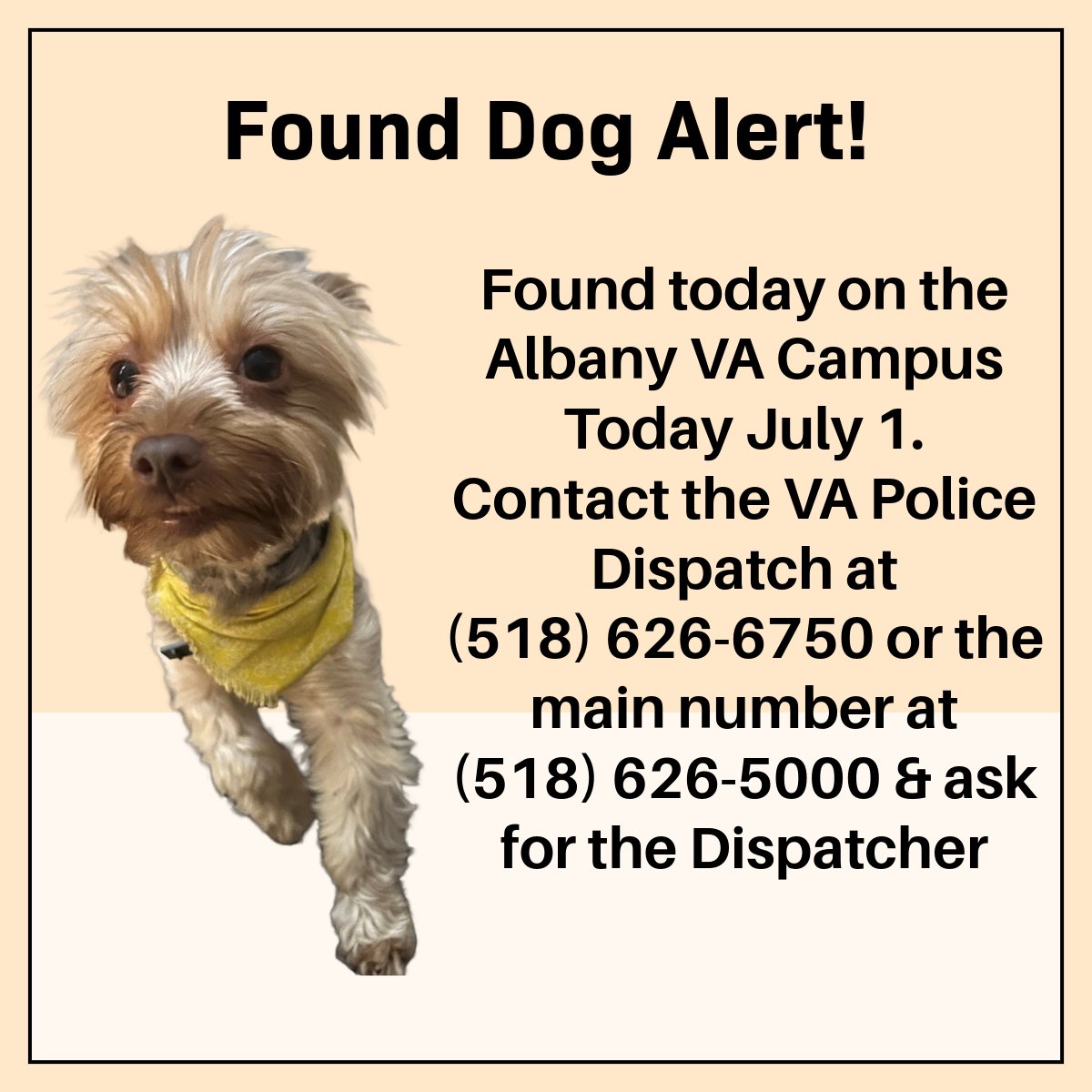 Found Dog Alert📢