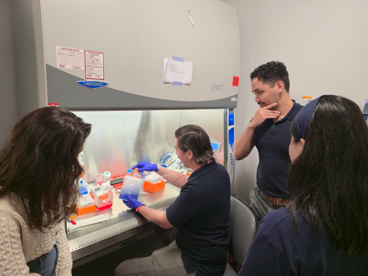 Dr. Despina Siolas, MD, PhD (@drdespina123) on Twitter photo Big thanks to <a href="/CorningLifeSci/">Corning Life Sciences</a> for coming to <a href="/WeillCornell/">Weill Cornell Medicine</a> to train our team on sterility best practices as we launch new T cell co-cultures for our #immunotherapy studies! Great to have expert support as we tackle complex experiments. 🧬🧫 #CancerResearch #KRAS #contamination Big thanks to <a href="/CorningLifeSci/">Corning Life Sciences</a> for coming to <a href="/WeillCornell/">Weill Cornell Medicine</a> to train our team on sterility best practices as we launch new T cell co-cultures for our #immunotherapy studies! Great to have expert support as we tackle complex experiments. 🧬🧫 #CancerResearch #KRAS #contamination