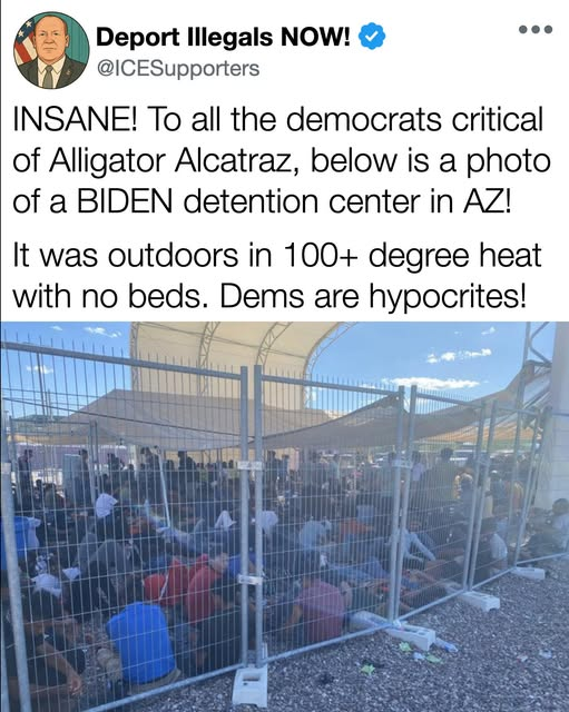 Flamingolover (@rebswife65) on Twitter photo 