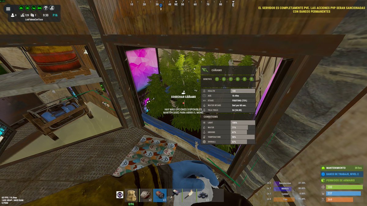 Suerte+Paciencia+Tiempo = Genética Buena 
de chill en un pve, conociendo el tema huertos