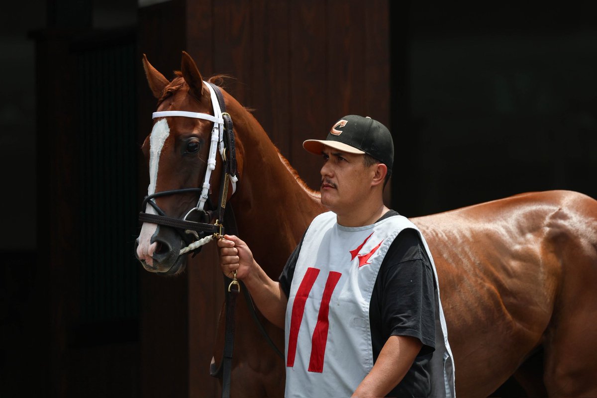 Command the Stars✨ 
📸: <a href="/owneycreative/">Owney Creative</a>