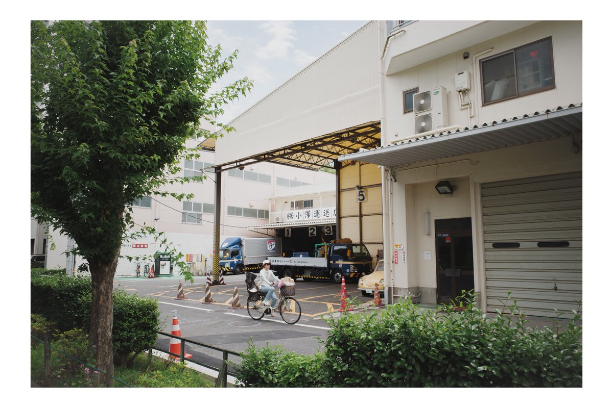 ph_classica's tweet image. 足取りは軽く

#都市風景