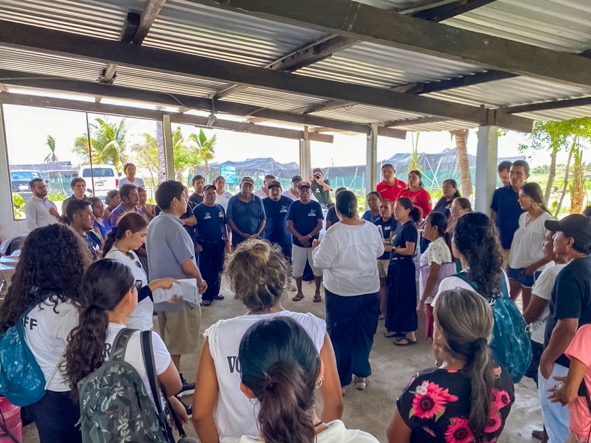 CONANP_mx's tweet photo. El Santuario #PlayaEscobilla  fue el escenario en el cual se llevó a cabo el "Taller para la atención ante varamientos de mamíferos y tortugas marinas", organizado por la #Conanp. 🐢

Conoce más ➡️ https://t.co/D78TGJplGd #SomosNaturaleza #GuardianesDeLaNaturaleza 🌿🌊🏝️🐳🦭 https://t.co/3N9i7UKeRy