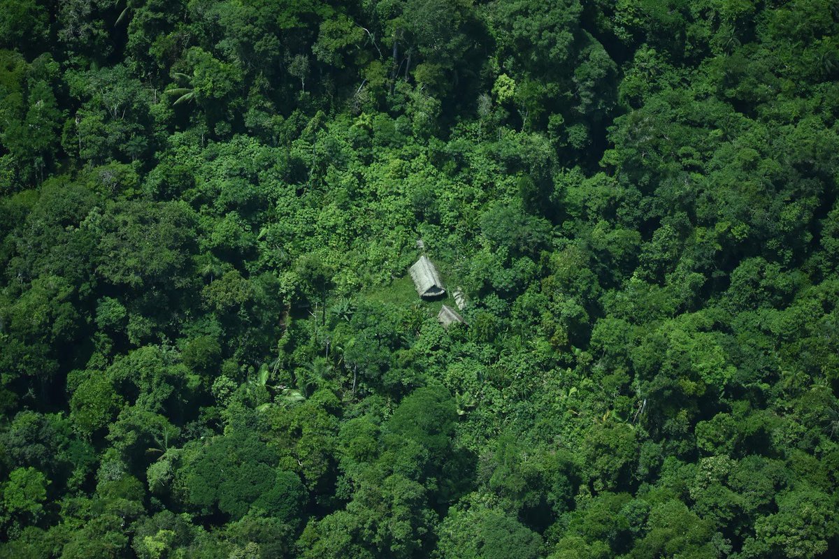 Organizaciones indígenas como @OrpioA, que agrupa a 50 federaciones de 19 pueblos, exigen que el <a href="/MinCulturaPe/">Ministerio de Cultura</a> cumpla con su compromiso asumido en febrero de 2025:

✅Reconocer la reserva.

❌Nada ha avanzado.