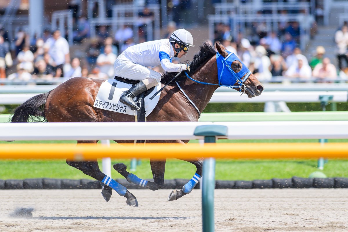 りり🫧🪼 tweet media