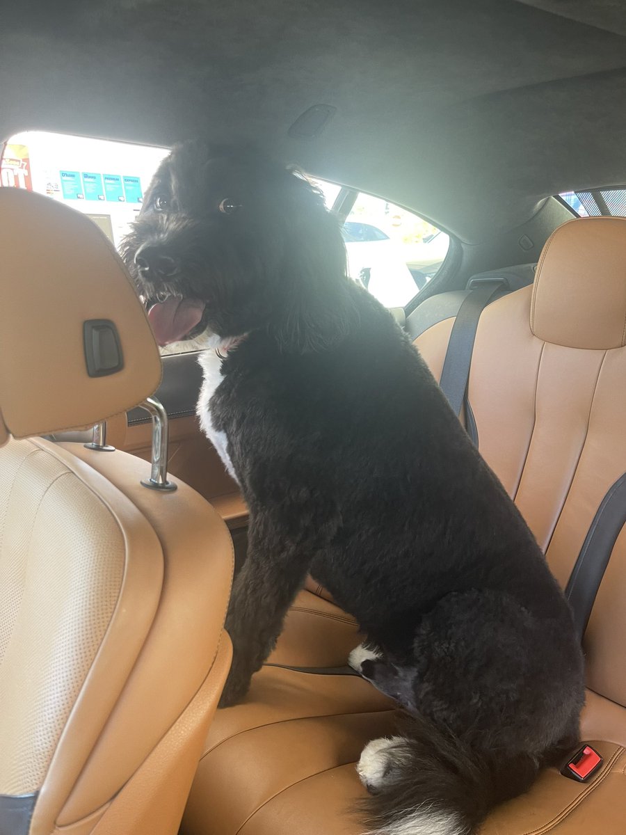 CaineDani's tweet photo. @TuckerCarlson Adorable!  Happy 4th from the Caine’s https://t.co/ajyG386TAA