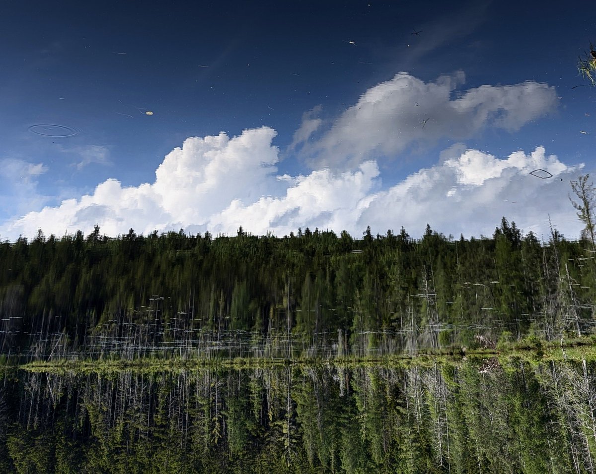 mtnspire's tweet image. When life isnt what it seems to be...flip the script!