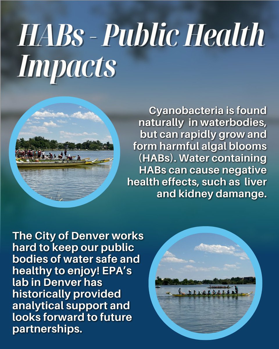 Summers in Denver are better when the lakes stay clean, safe and open.☀️💧

That's why Region 8 teams up with <a href="/denverparksrec/">Denver Parks & Recreation</a> to watch out for harmful algal blooms (HABs) - those greenish slicks of algae that can be dangerous for people and pets. Our lab helps test for HABs