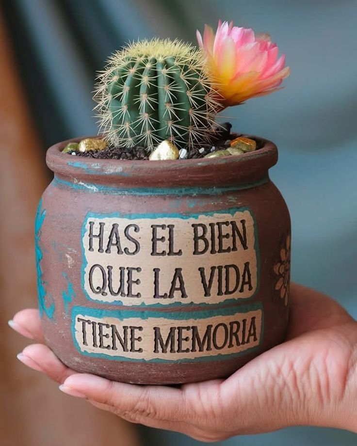 #ConsejosdeVida 🫀🖊️📘🧠 aprende a escuchar a la gente... Quizá alguien lo necesita hoy... 💗💗💗 Gracias por la #Reflexión del día Mike <a href="/YODEBUENAS/">Miguel Barrientos Mx</a> <a href="/La99fm/">La 99 FM</a> <a href="/YoAmoLa99/">AmoLa99 💙🎶📻 #YoAmoLa99</a> <a href="/BlenestarTotal/">Blenestar Total 🌱 🌿 🍃 💜 🤍 🤗 #ViveBonito</a>