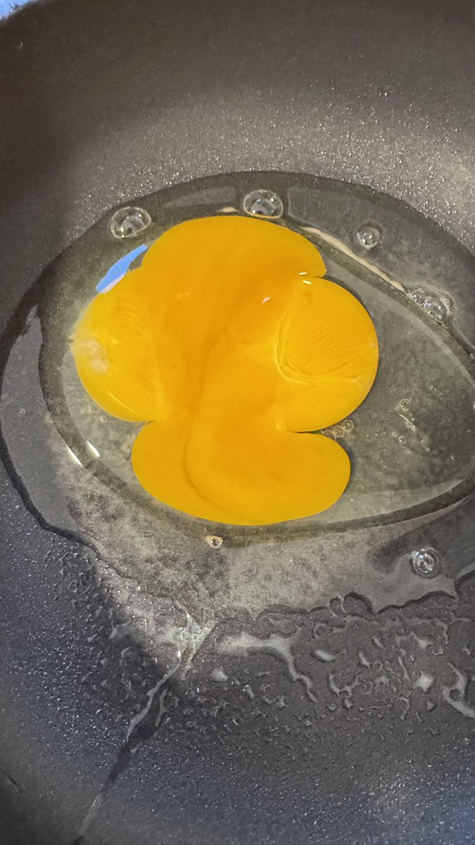 Lara Giuliani🐂🥰🐾 tweet media