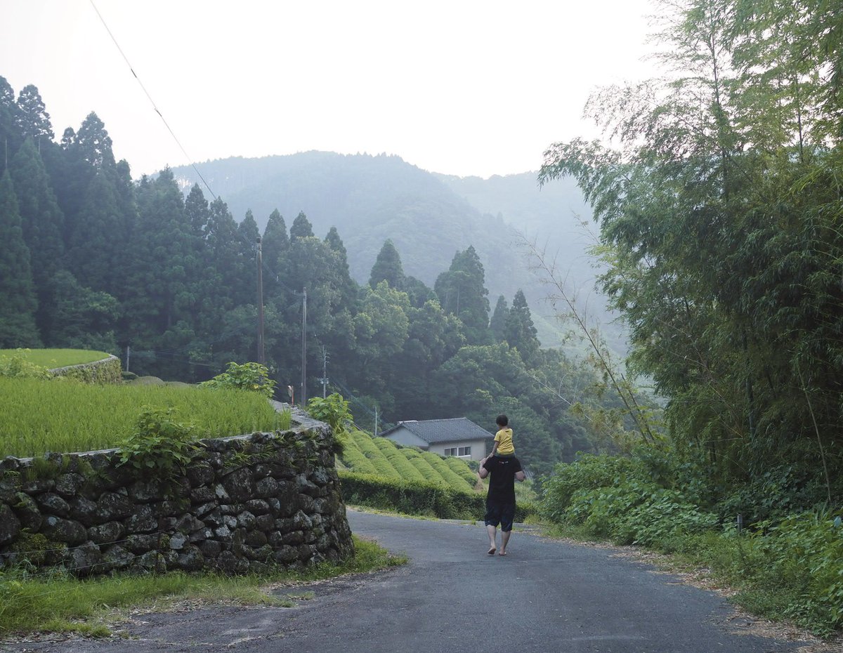 hiddenthread_'s tweet image. A perk of the Yame tea trip 🌱
