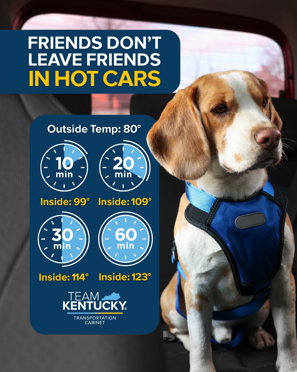 KYTC's tweet image. While we love a good hot dog with all the fixings on it for National Hot Dog Day, today is also a reminder to NEVER leave your four-legged friends in a hot car, not even for a minute! ☀️
In 80-degree weather, the temps inside a car can reach 123 degrees. 🔥
#NationalHotDogDay