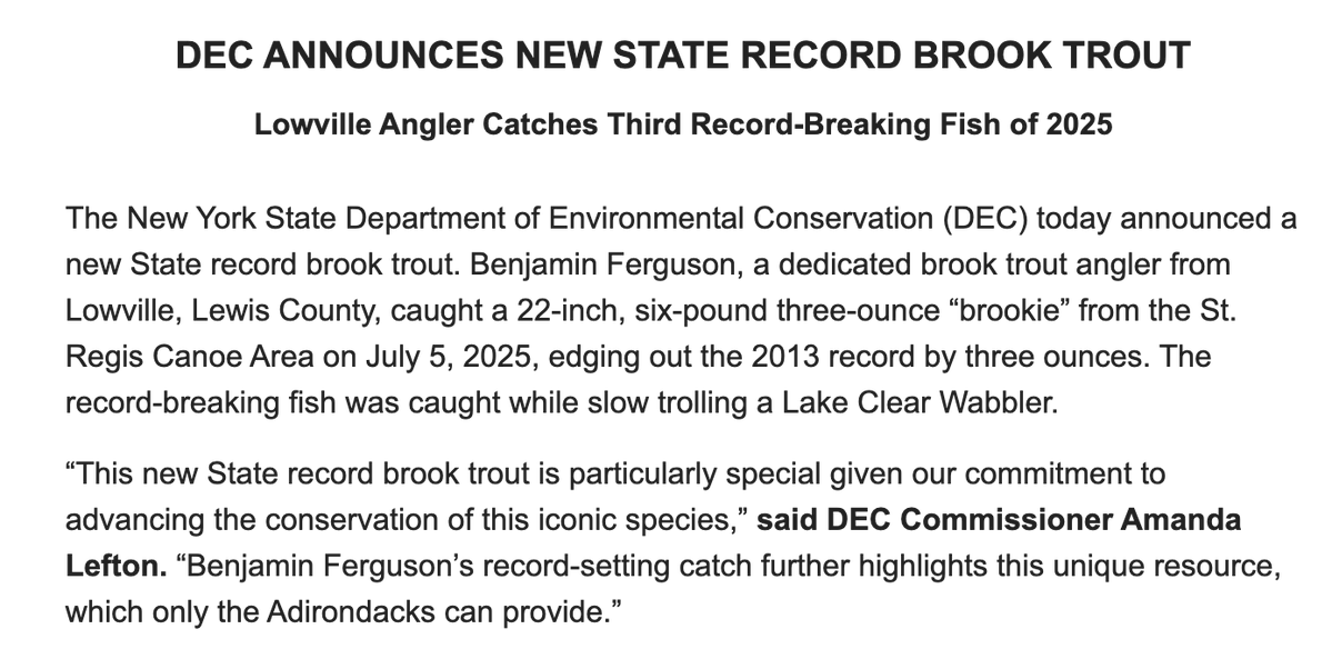 VaughnEGolden's tweet image. DEC says the state record for the largest brookie was broken earlier this month by Benjamin Ferguson, who caught this 22-inch, 6lb beauty in the Adirondacks