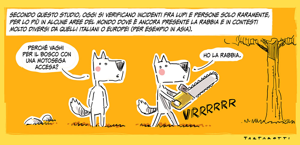 tartaro7's tweet image. È uscito il nuovo numero di @ossigenorivista (edito da @People) dedicato alla #montagna.
All'interno c'è anche una mia storiella-infografica di cinque pagine dedicata al #lupo in Italia e sulle Alpi.
Queste due immagini sono dettagli di quella storiella.
#lupi #lupo #mucche