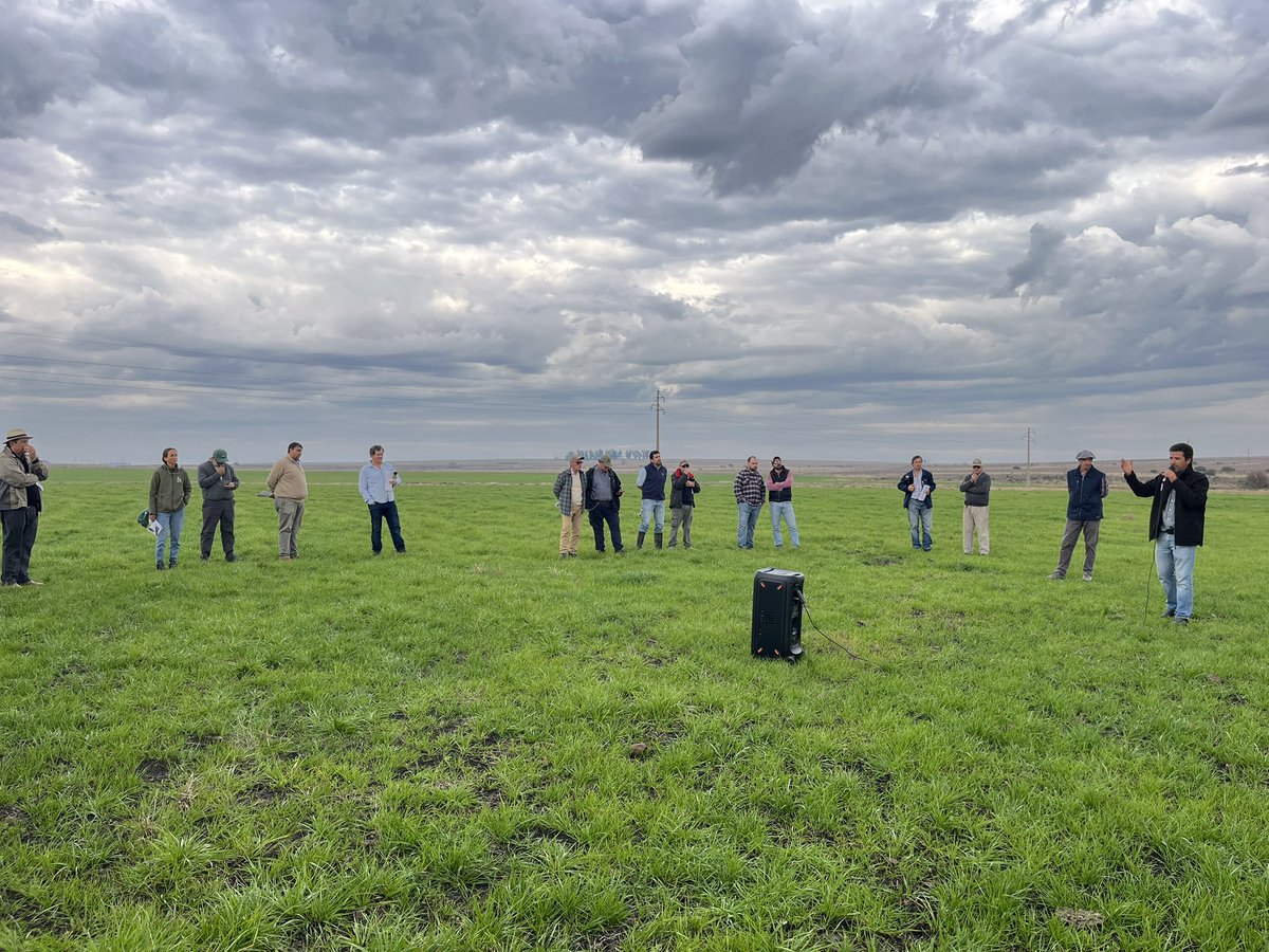 ACA (@acaoficial) on Twitter photo 📍 ¡Hoy en Paso Farías!
Con gran participación de productores y técnicos, se realiza la jornada de cierre del proyecto FPTA 381: Arroz–Ganadería 🌾🐮
Una instancia de intercambio sobre sistemas integrados
<a href="/ACAoficial/">ACA</a> <a href="/INIA_UY/">INIA URUGUAY</a> <a href="/PlanAgro/">Plan Agropecuario</a> 📍 ¡Hoy en Paso Farías!
Con gran participación de productores y técnicos, se realiza la jornada de cierre del proyecto FPTA 381: Arroz–Ganadería 🌾🐮
Una instancia de intercambio sobre sistemas integrados
<a href="/ACAoficial/">ACA</a> <a href="/INIA_UY/">INIA URUGUAY</a> <a href="/PlanAgro/">Plan Agropecuario</a>
