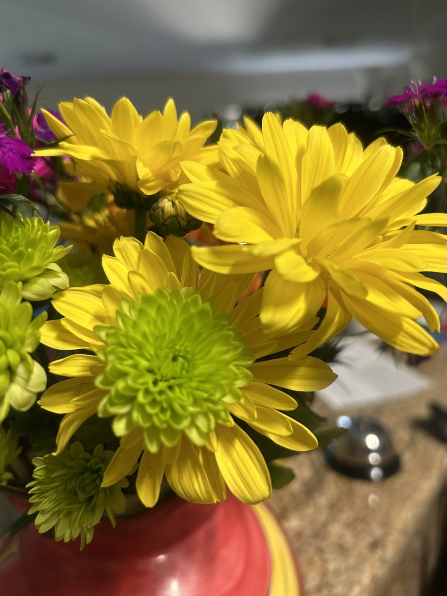ImagineThis704's tweet image. #Creation is a great day❣️
#embody #IT 🌞🙏🏽🙌🏽🫶🏽☮️🌬️🖖🏽💃🏽