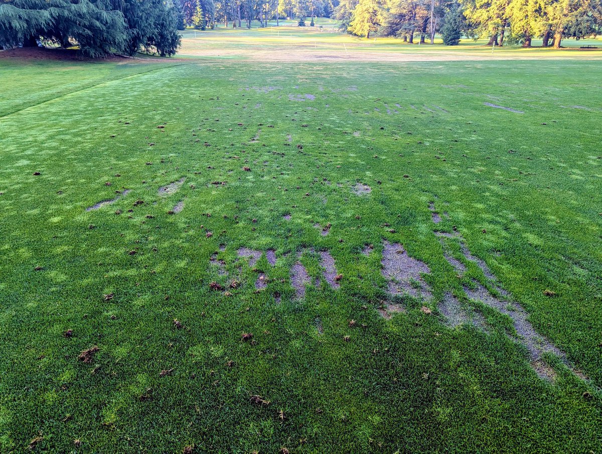 greg matz tweet media