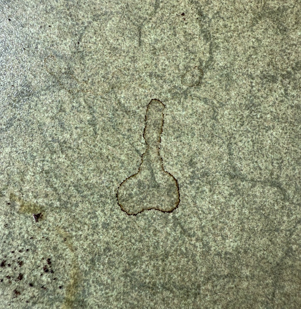 This coffee stain looks like a willy