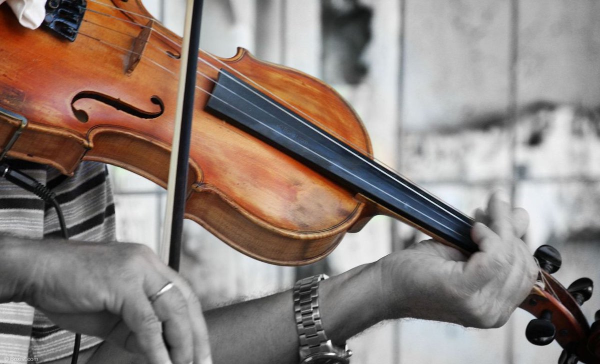 3BOX5's tweet photo. Suonare uno strumento musicale rallenta il declino cognitivo negli anziani -  https://t.co/AVeq2Dvi6j 

Suonare uno strumento musicale rallenta il declino cognitivo e migliora la percezione del parlato negli anziani

 Come la musica influisce sul cervello degli anziani?... https://t.co/UnNrZgRGq8