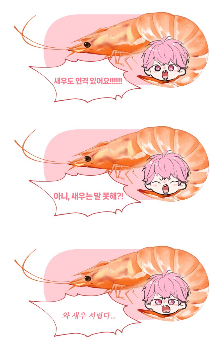 채밤새우 3종셋트🦐💗