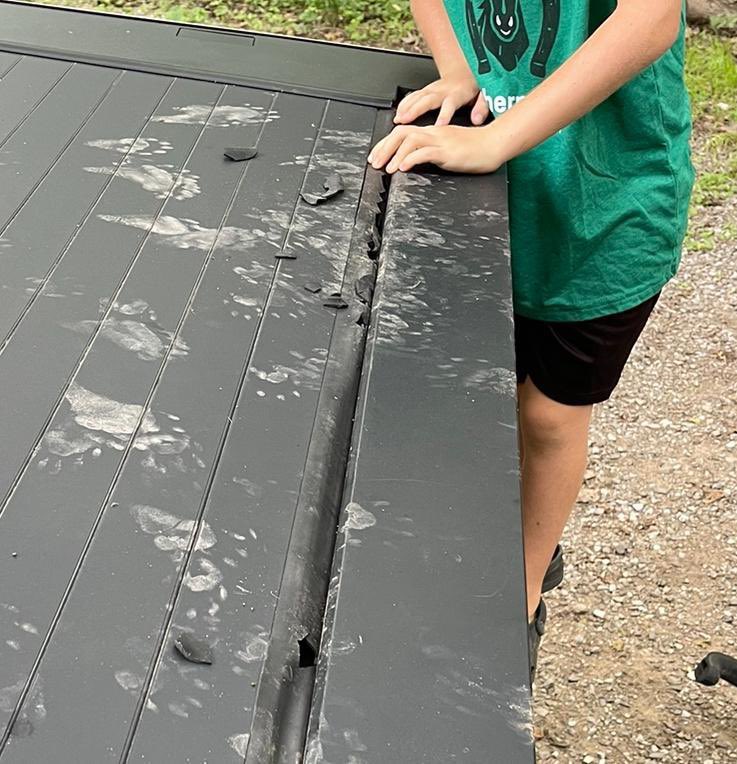 dakotadelaneyyy's tweet image. Cybertruck’s Bed Vault is raccoon proof 🦝

(Via CTOC u/ Spidog)