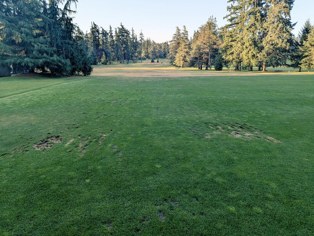 I'm not sure what to think of this. Grass practice tee is closed Monday and Tuesday for maintenance, but a couple Members think this doesn't apply to them apparently. Disappointing.  These areas won't be recovered by the time the hitting locations rotate back to here.🤷