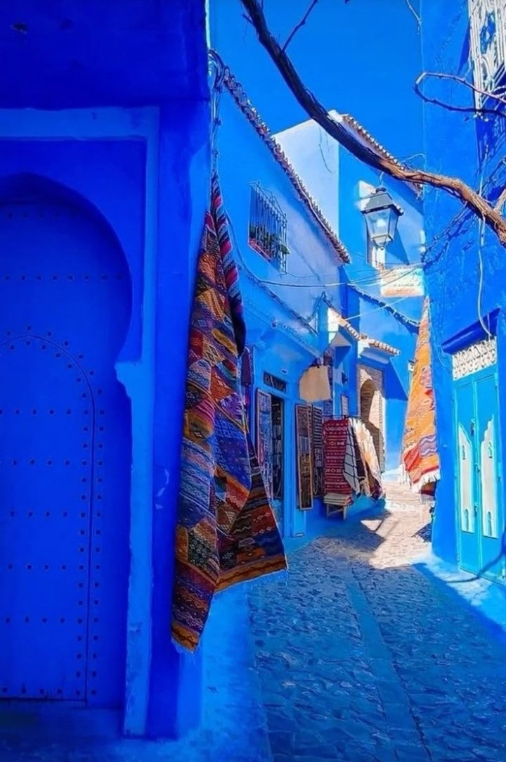 TrtTa241606's tweet photo. Chefchaouen... The Blue Jewel in the Heart of the Mountains: A Blend of Colorful Charm, Peaceful Nature, and the Authentic Spirit of Morocco 🇲🇦💙

#Chefchaouen #BlueCity #VisitMorocco #MoroccoTravel #TravelChefchaouen #HiddenGem #MoroccanMountains 
https://t.co/U83k07rF1p https://t.co/FNxKKvy7zz