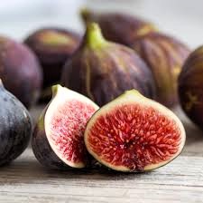 Gujarat History (@gujarathistory) on Twitter photo In 15th century Gujarat Sultnat's Amir Khudawandkhan Malik Alim, started poppy, fig, watermelon & bamboo farming in Gujarat by bringing its plants & seeds from South India. Sultnat Amir Khudawandkhan Malik Alim was an expert archer & polo player. He founded Alimpur in Ahmedabad. In 15th century Gujarat Sultnat's Amir Khudawandkhan Malik Alim, started poppy, fig, watermelon & bamboo farming in Gujarat by bringing its plants & seeds from South India. Sultnat Amir Khudawandkhan Malik Alim was an expert archer & polo player. He founded Alimpur in Ahmedabad.