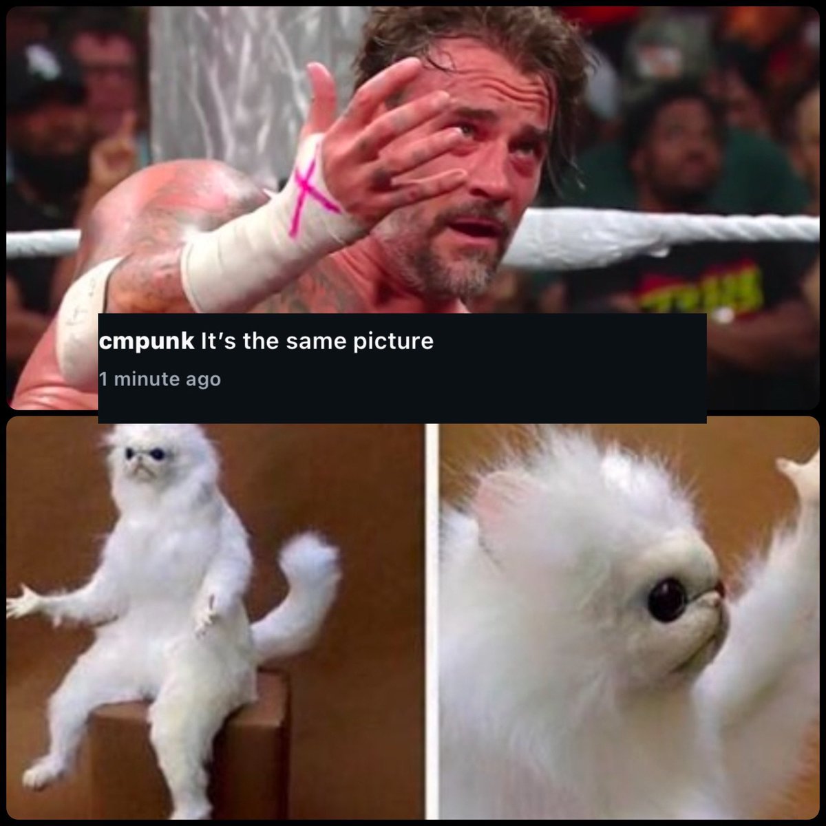 TeamCMPunk's tweet photo. CM Punk’s IG Post. 💀 https://t.co/mneYMdH4X4