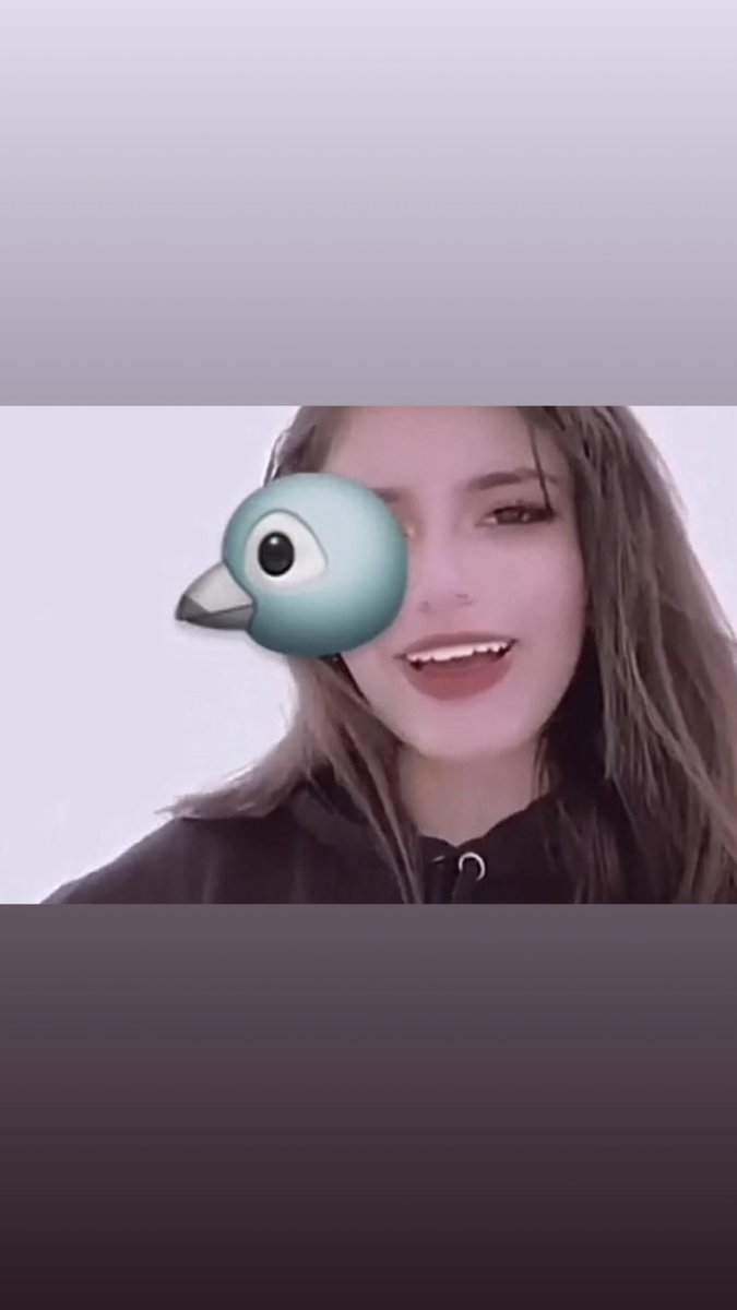 سجيس الغامدي tweet media
