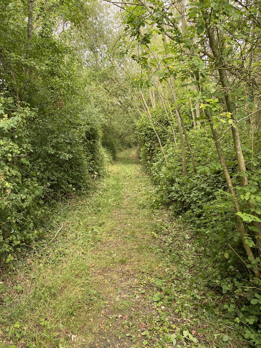 CountrysideNK (@countrysidenk) on Twitter photo Gates, bridges, bramble and paths. The <a href="/hillholtwood/">Hill Holt Wood</a> CountrysideNK Ranger has been out and about improving access on the <a href="/NorthKestevenDC/">North Kesteven District Council</a> Stepping Out Walk footpaths around Metheringham Barff today Gates, bridges, bramble and paths. The <a href="/hillholtwood/">Hill Holt Wood</a> CountrysideNK Ranger has been out and about improving access on the <a href="/NorthKestevenDC/">North Kesteven District Council</a> Stepping Out Walk footpaths around Metheringham Barff today