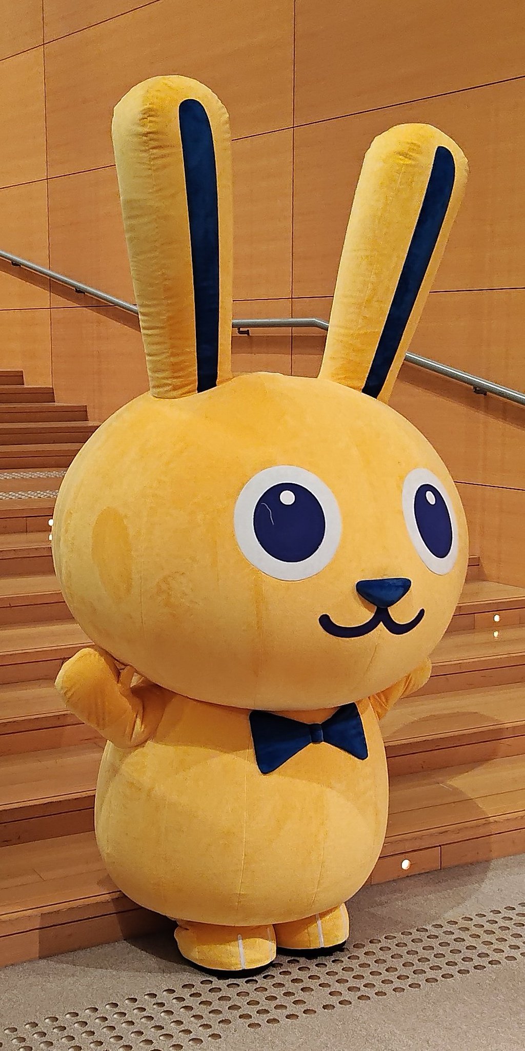 スタジオナナホシ　うさぎ　虎 桜井直樹🐰奈良うさぎ on X: 