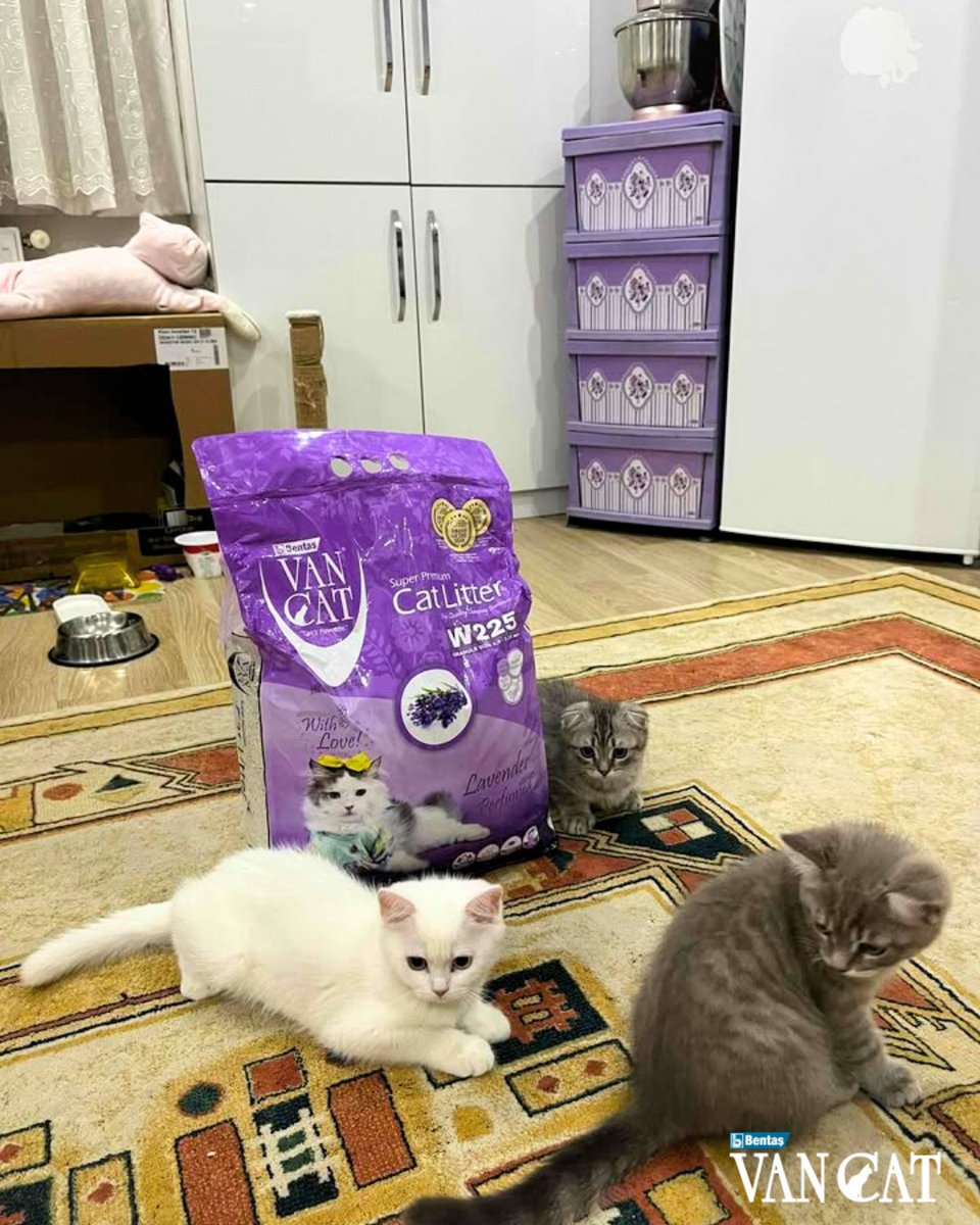 Kullanmak için sabırsızlanan birileri var sanki. 😹
📸: Soner Koç