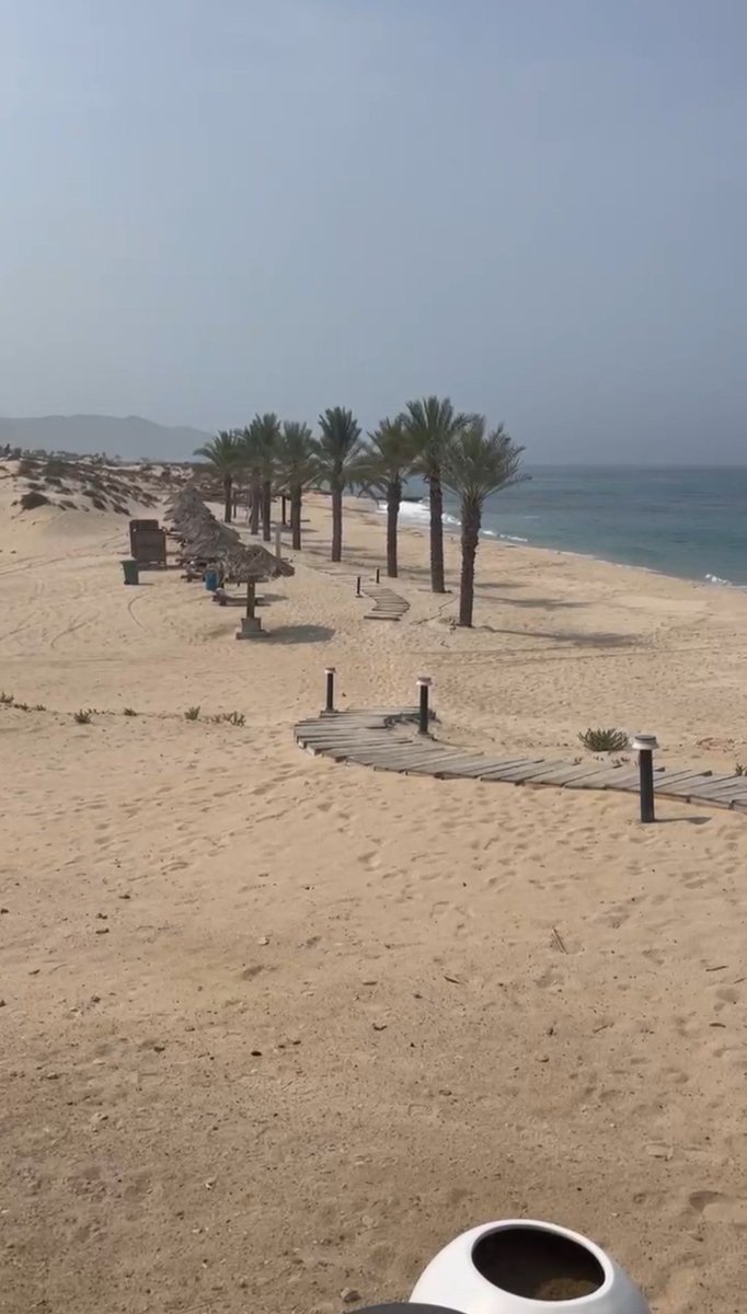 DigitalPalm's tweet photo. Land ahoy....

Digital Palms CEO @Hussein__XRP having a brisk walk this morning around the proposed land site for DigitalPalms Resort and Retreat 🌴🐫

You all aint ready for whats coming! 

More than just an NFT, more than just a Meme......

#DigitalPalms #OmanTravel https://t.co/ER75oivYcU