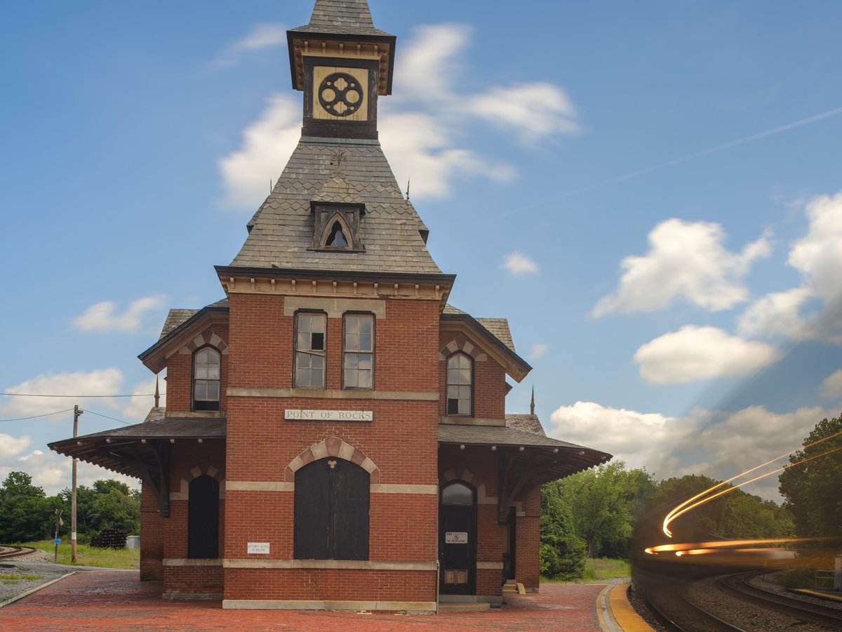 Alon Koppel 📷 tweet media