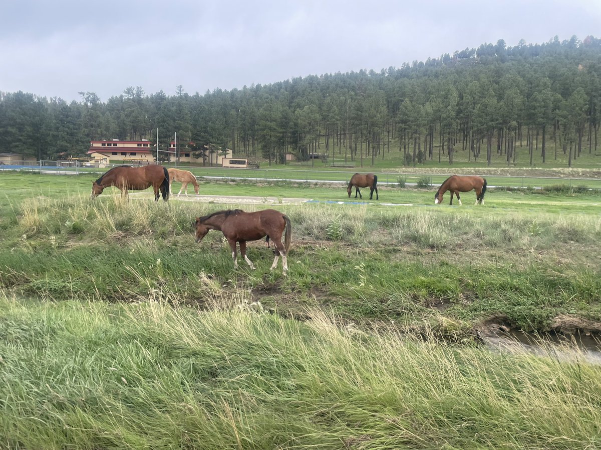 fbacrosstexas's tweet image. Episode 37 is now available wherever you listen to podcasts. Join retired AD and head football coach, Heath Brown, and I as we talk football with Ruidoso high school AD/head football coach Shane Eidson. Coach Eidson is a Texas football coach who has returned to New Mexico. We…
