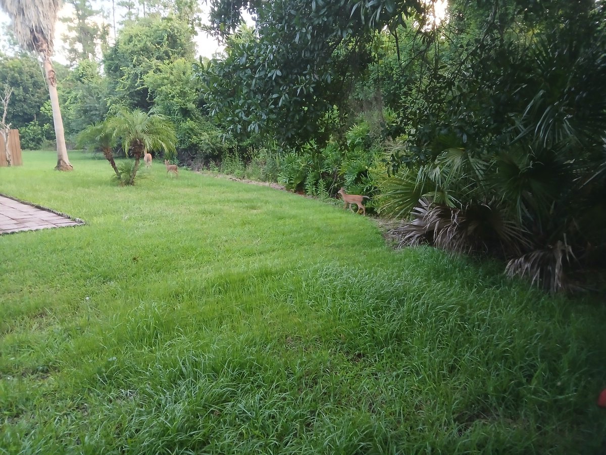 KyleDWilson1's tweet image. The best thing about moving into a new house is meeting the neighbors.