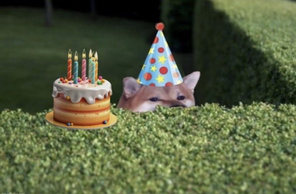 Chef Ben tweet media