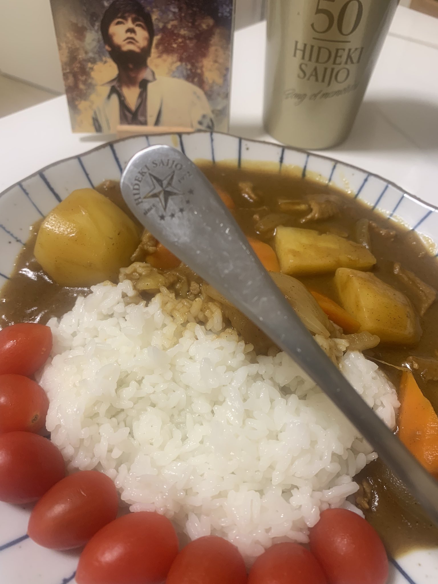 西城秀樹 カレースプーン パンフレット 西城秀樹(78)コンサート