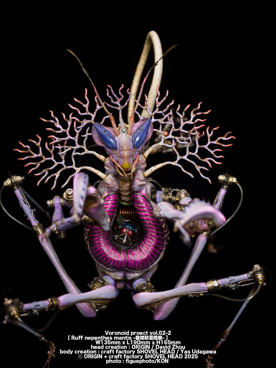 aways_somewhere's tweet image. Voronoid proect vol.02-2
［ Ruff nepenthes mantis -襞襟靭葛蟷螂- ］
W135mm x L190mm x H165mm
head creation = ORIGIN / David Zhou
body and base creation = craft factory SHOVEL HEAD / Yas Udagawa
Tokyo WF  booth no. [2-22-01]
ugauga.jp