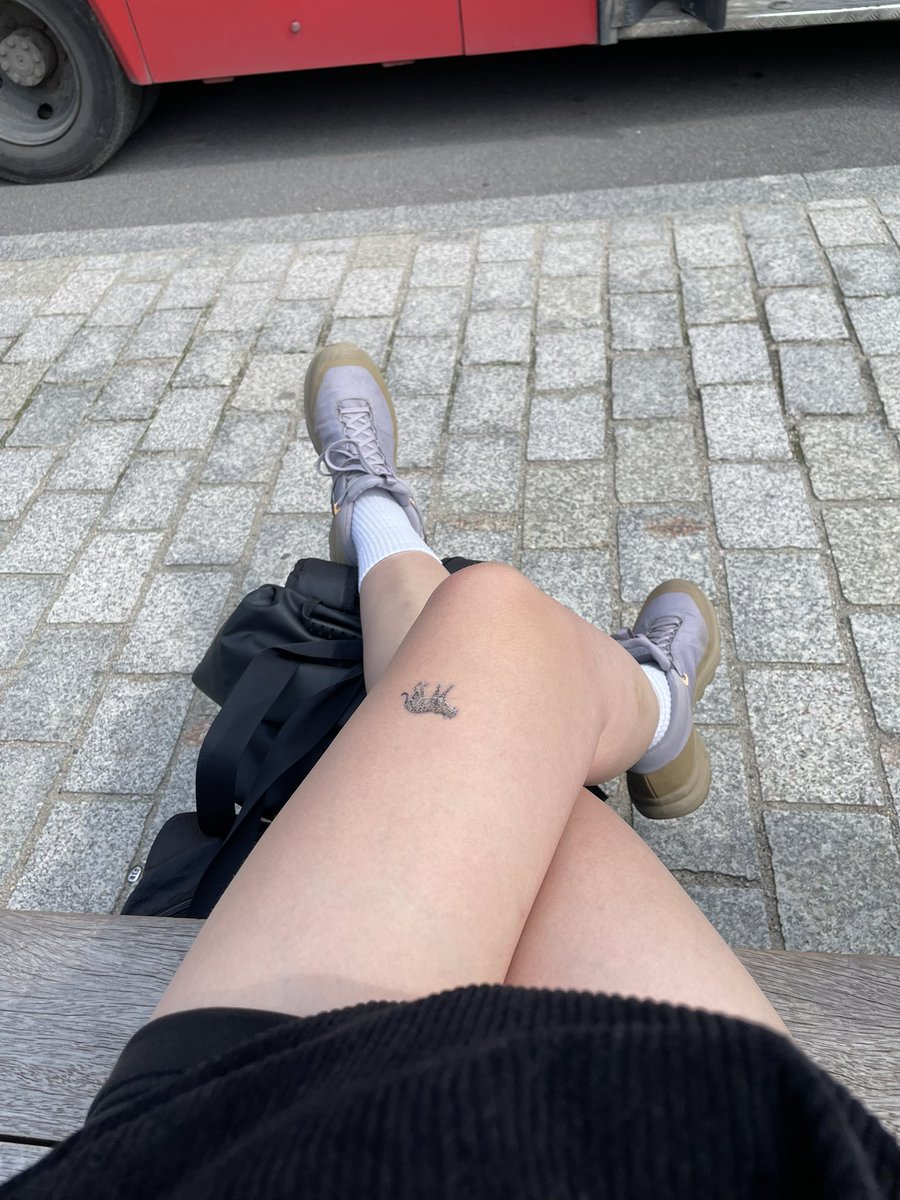 zyftr's tweet image. вперше буде соло похід в гори