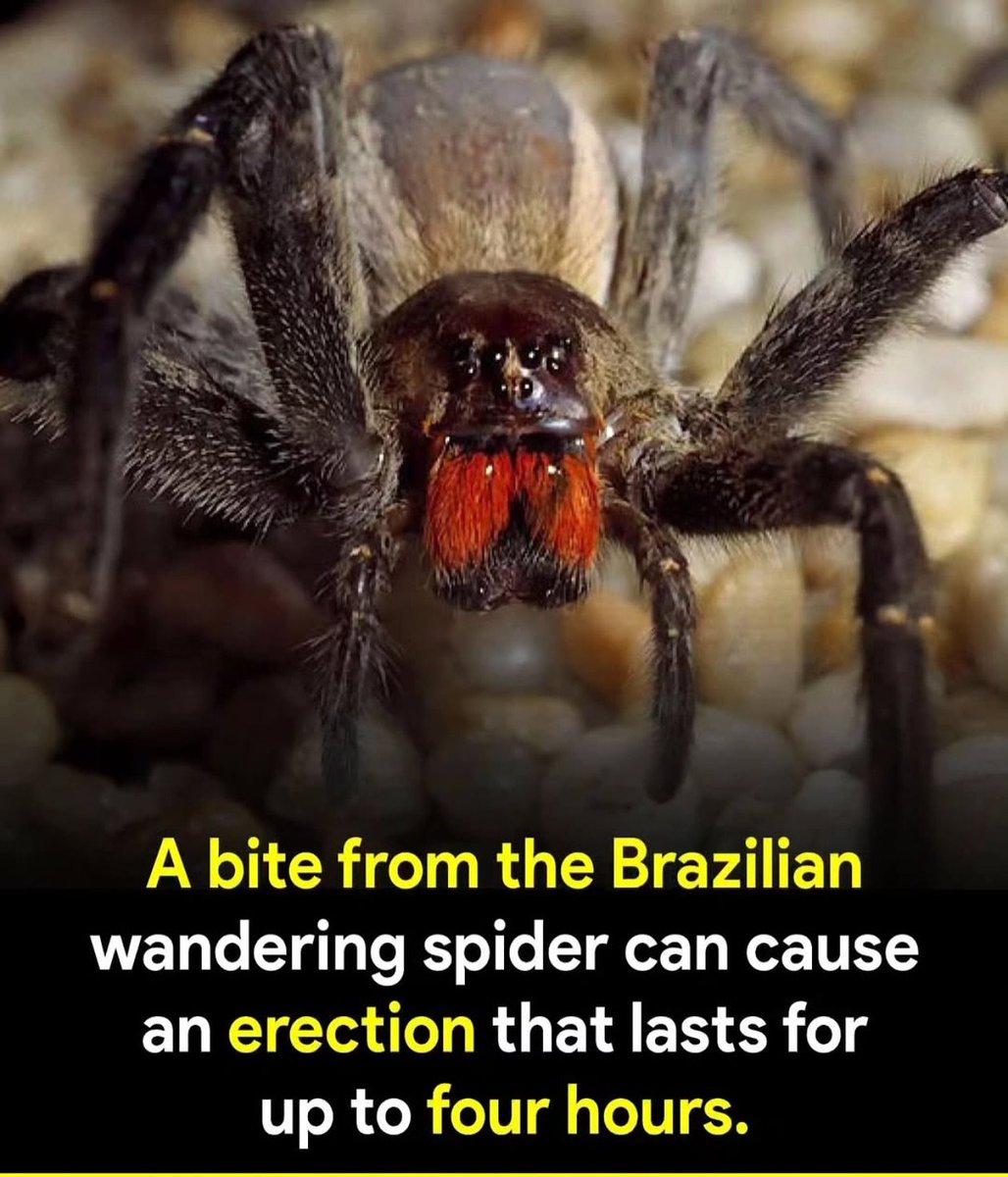 marto255_'s tweet image. 😳is it true?