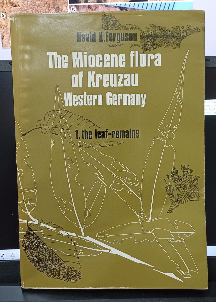 CGoisMarques's tweet image. Just received this wonderful book from the author himself. Prof. David K. Ferguson visited me and our labs at the University of Madeira just last month—what a gentleman!
#Palaeobotany #botany #fossils
