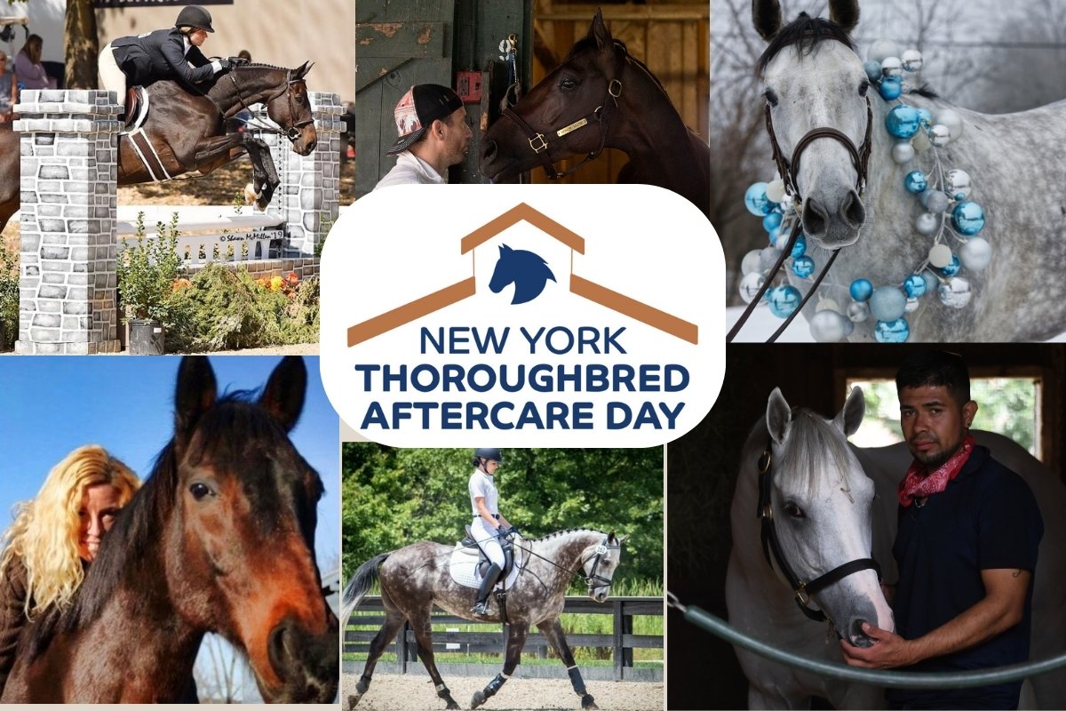 NewYorkTHA's tweet image. 24 hours to go until New York Thoroughbred Aftercare Day!
Join us tomorrow at Saratoga to meet the Down Broadway Award winner and celebrate our aftercare partners in New York 🏇🏇🏇